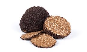 Cos'è il tartufo, un fungo o un tubero? Dove si trova? Come si riproduce?