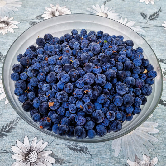 Prunellier sauvage (1 kg de baies pour preparer le liqueur Bargnolino)