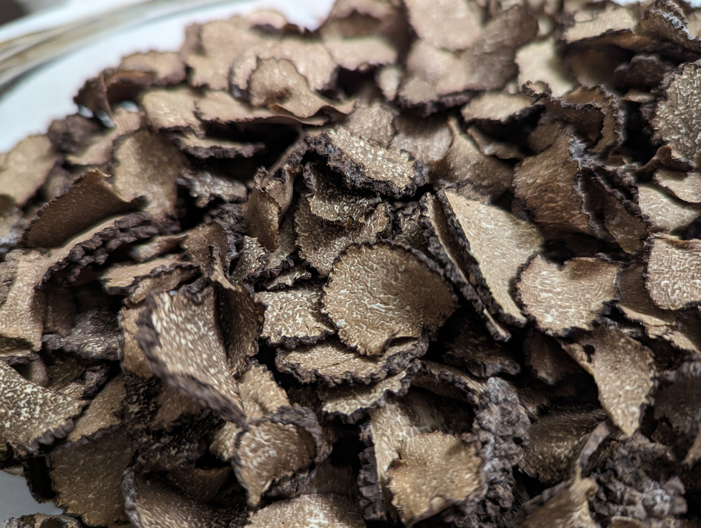 Getrockneter schwarzer Herbstrüffel (Tuber Uncinatum) in 7g-Gläsern