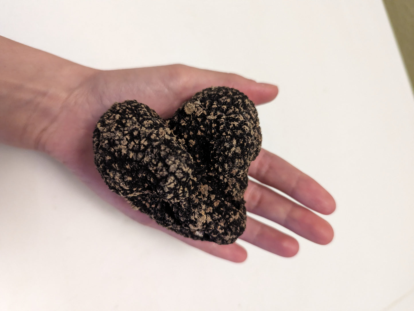 Degustazione di Tartufo e Vino