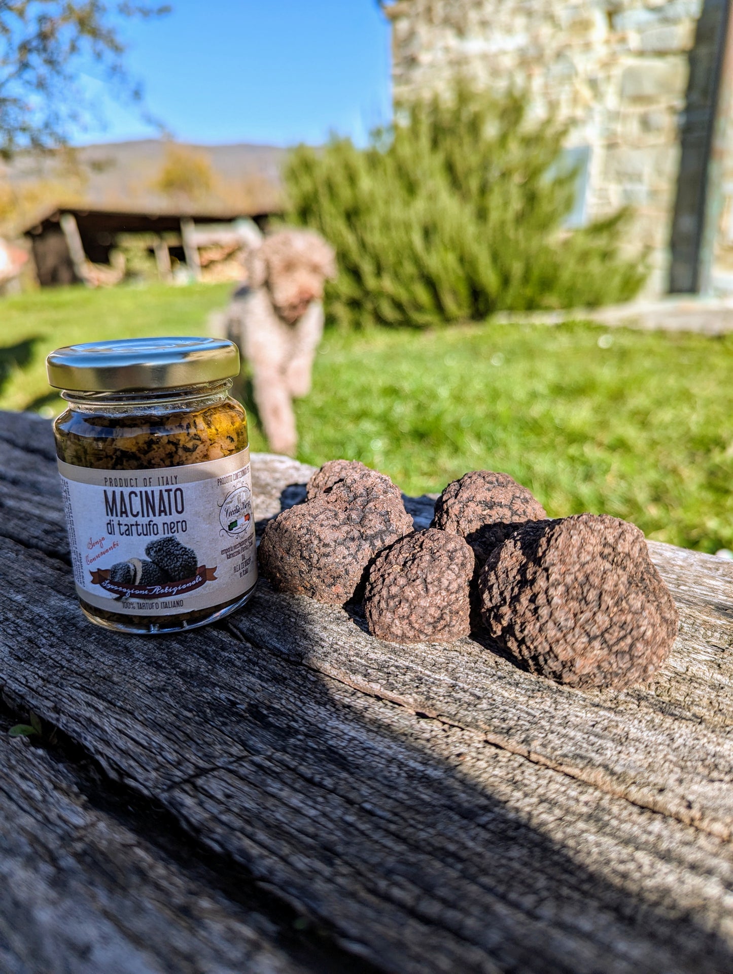 Tartufo nero Uncinatum