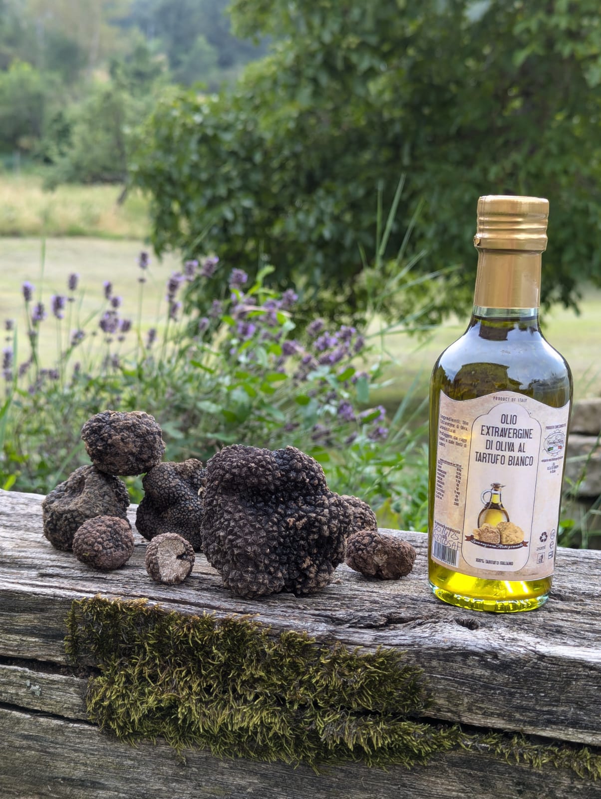 Black truffle Aestivum (summer truffle)