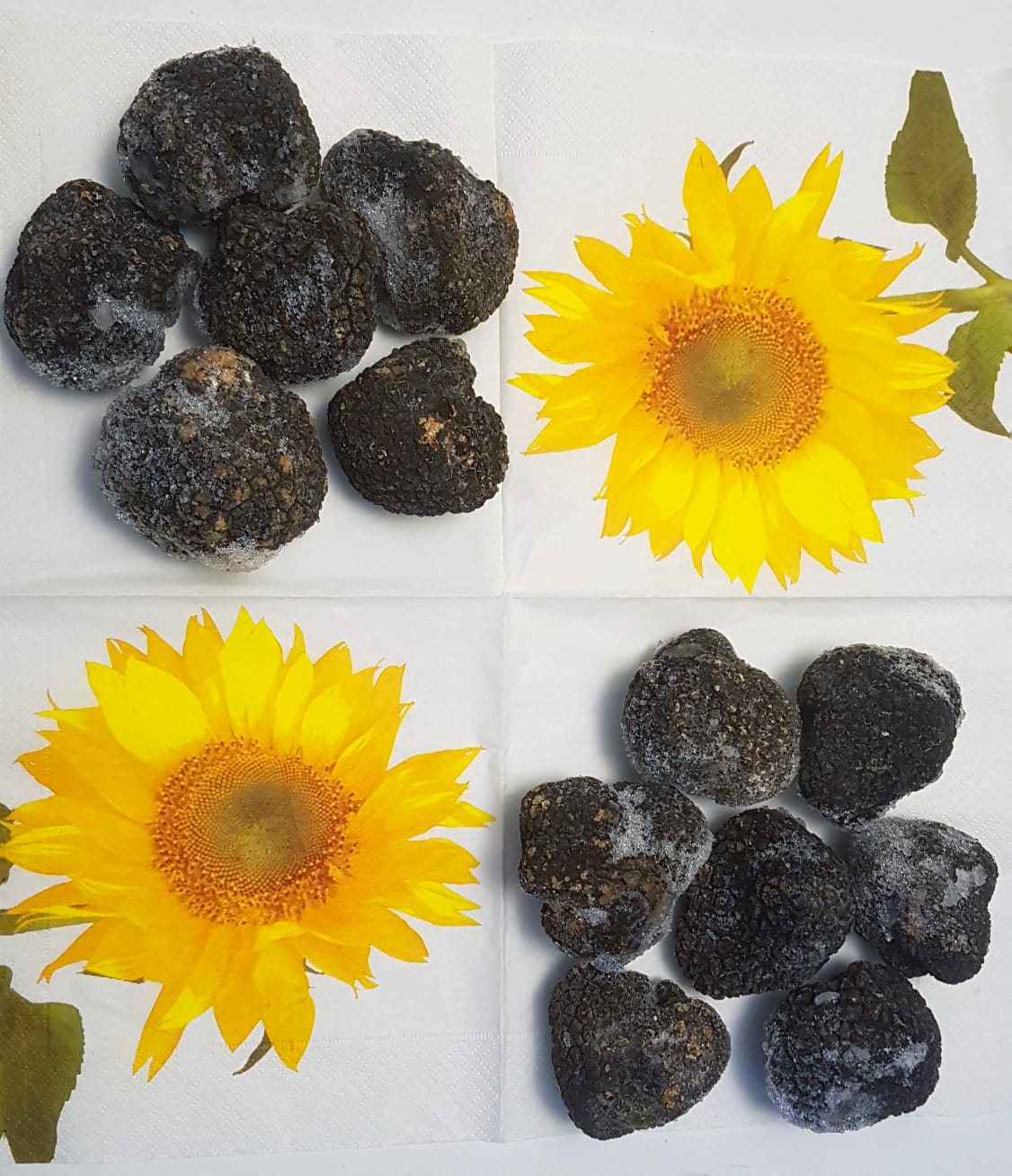 Tiefgefrorener schwarzer Sommertrüffel 100 g