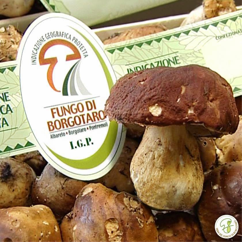 Parma Food Tasting: Torta Fritta, Porcini Mushrooms (Borgotaro IGP), Mountain Parmesan (18 vs. 30 months aged) and Parma Ham - (for 2 people)