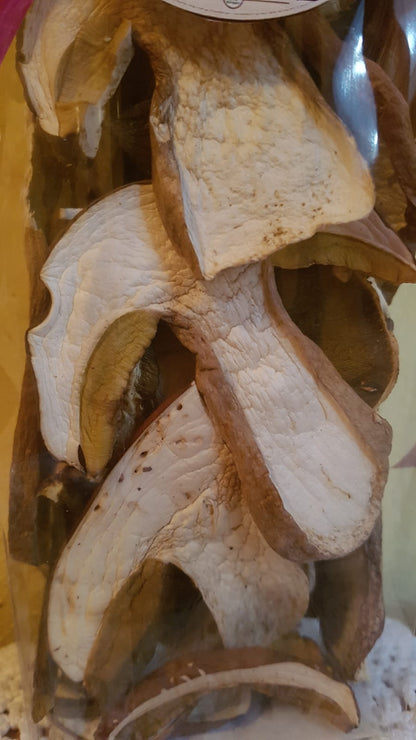 Funghi porcini secchi