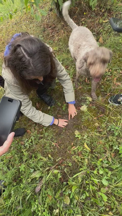 Chasse aux truffes avec déjeuner/dîner