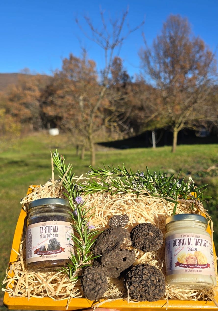 Tartufo nero Uncinatum